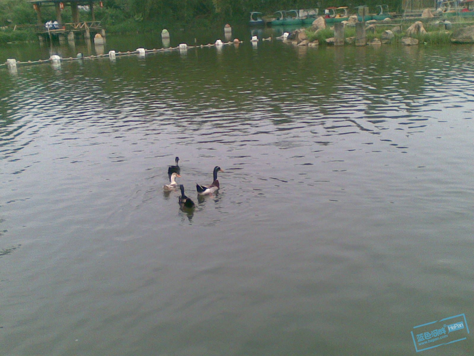 20110507(038).jpg