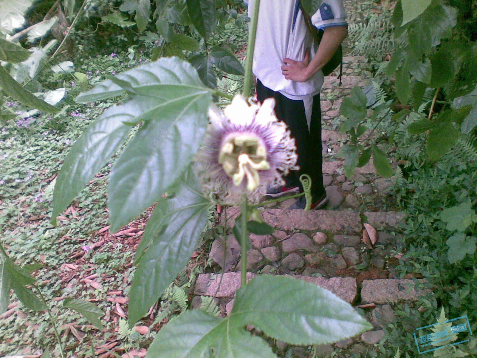 20110507(040).jpg