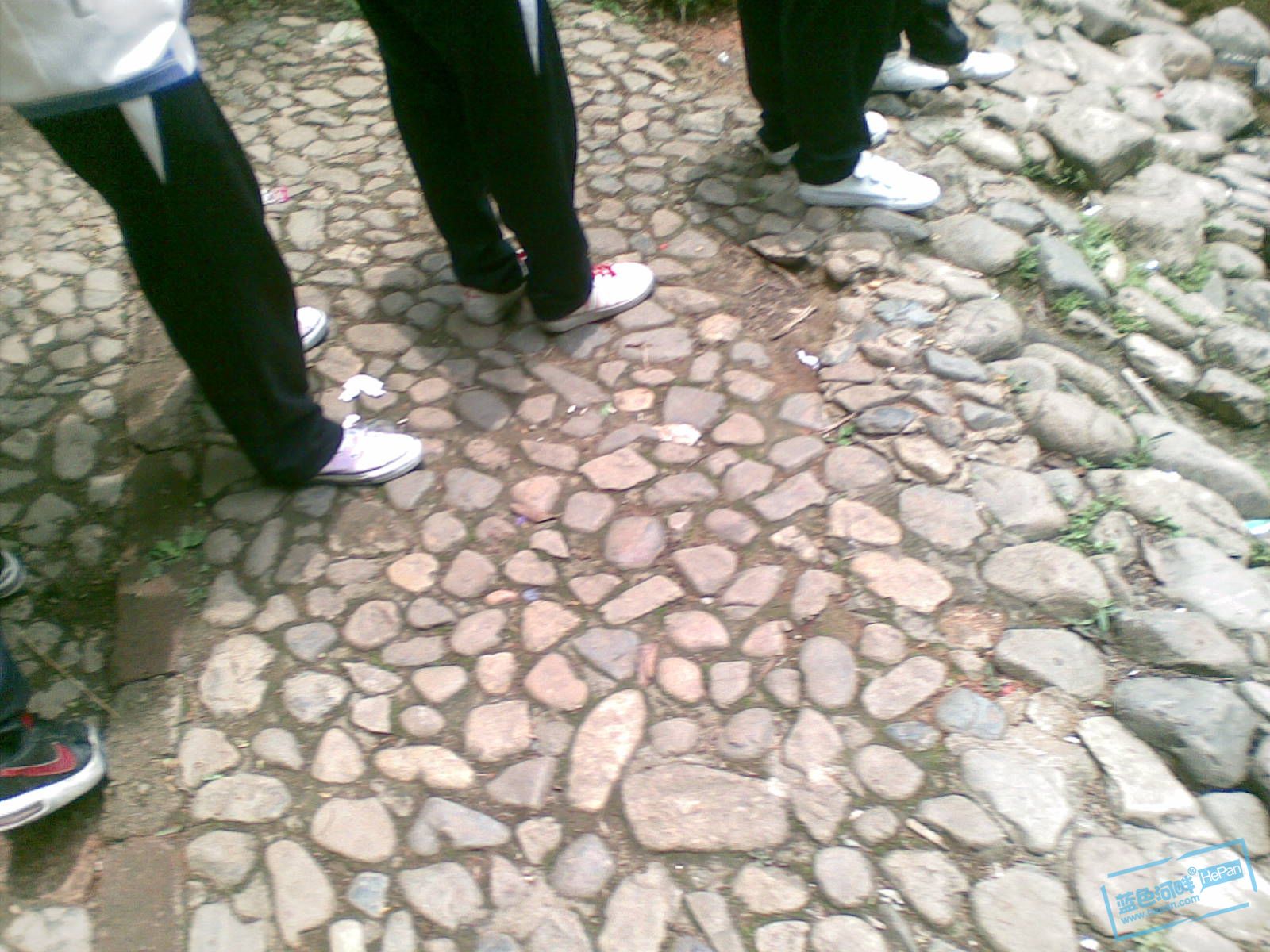 20110507(034).jpg