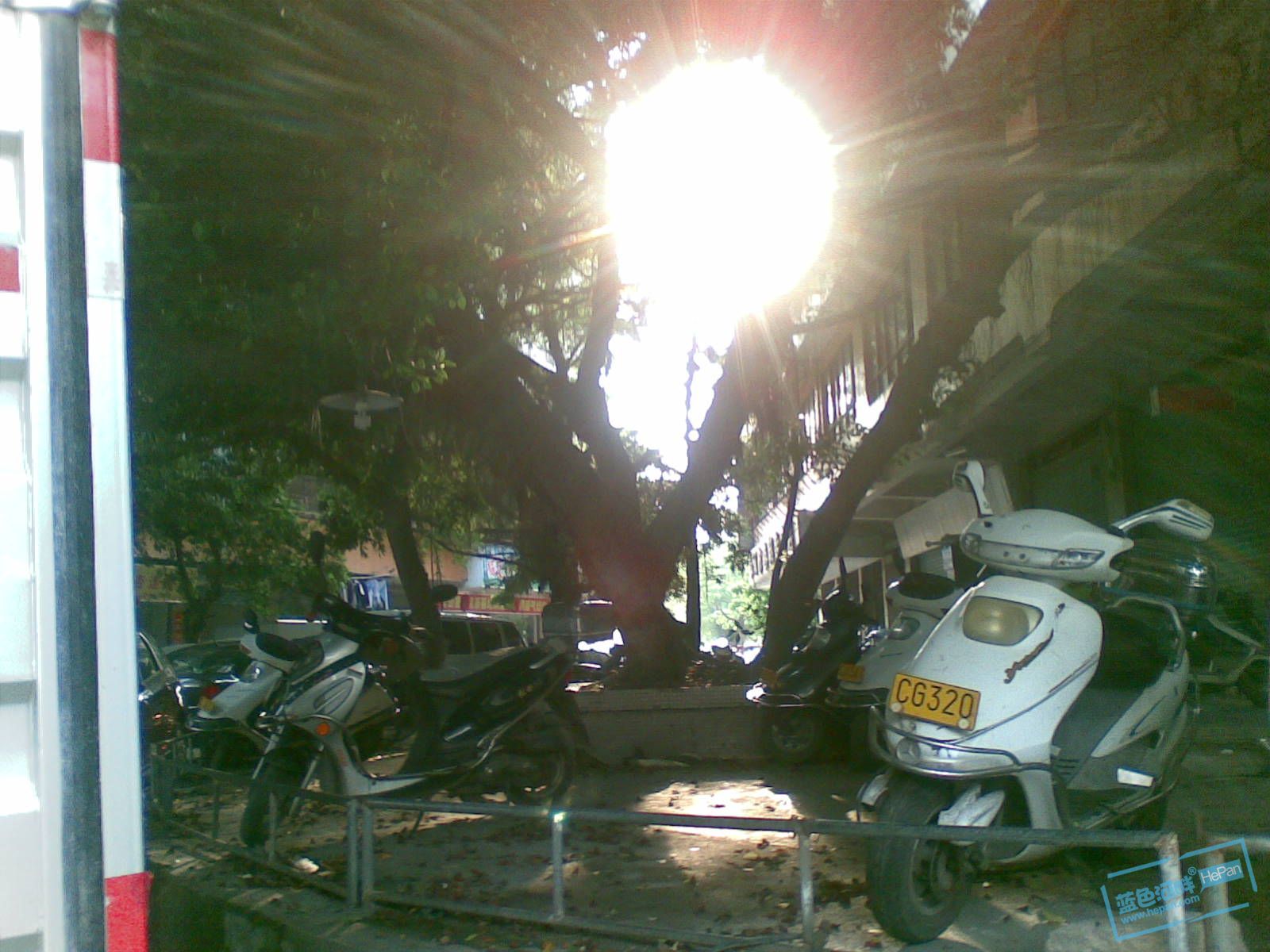20110507(053).jpg