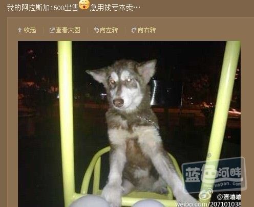 未命名.jpg