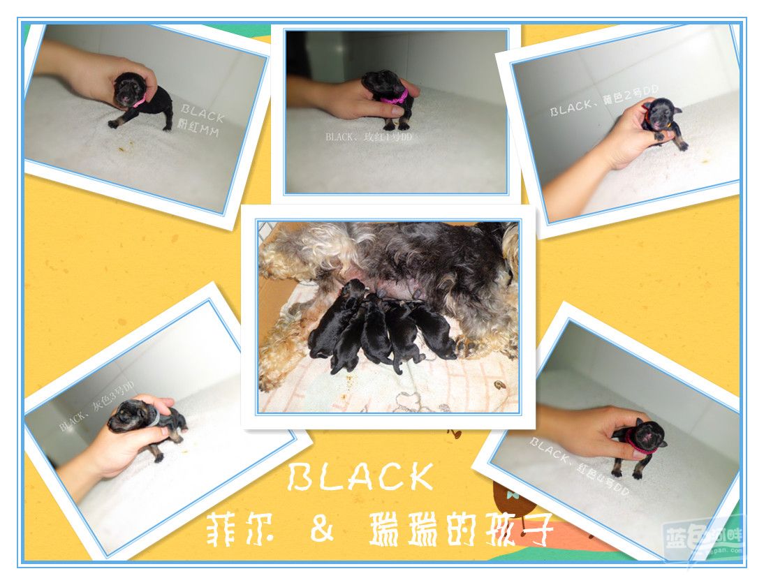 全家照.jpg