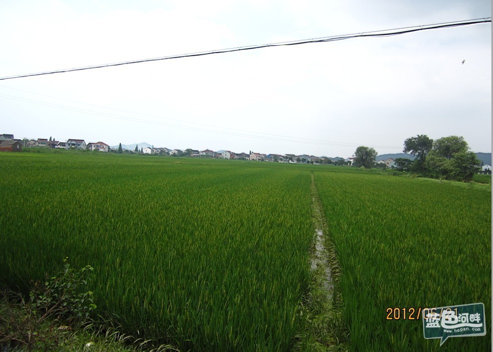 6月21日4.jpg