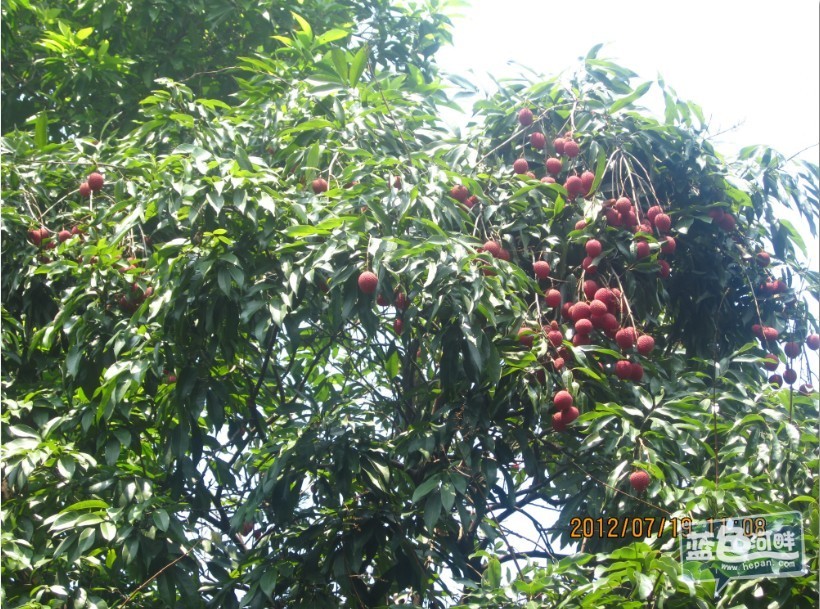 7月19日2.jpg
