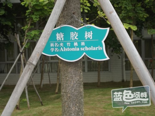DSCF7352.jpg