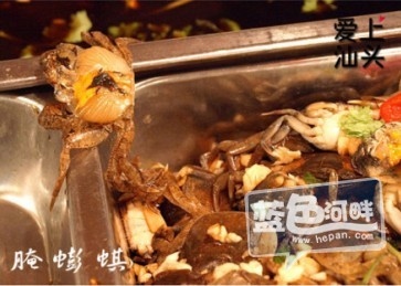 QQ截图20120821152401.jpg