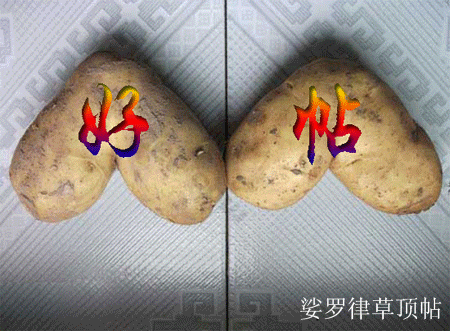 处边顶.gif
