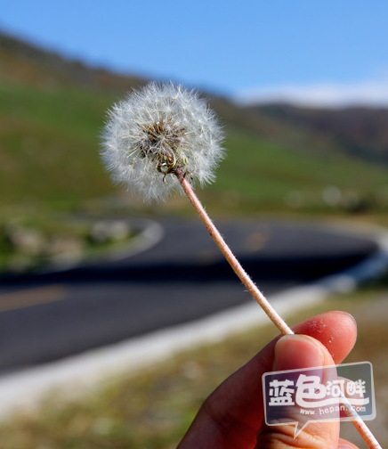 QQ截图20120930163751.png