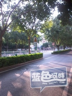 厦门市区公交车专用道3