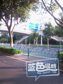 厦门市区公交车专用道2