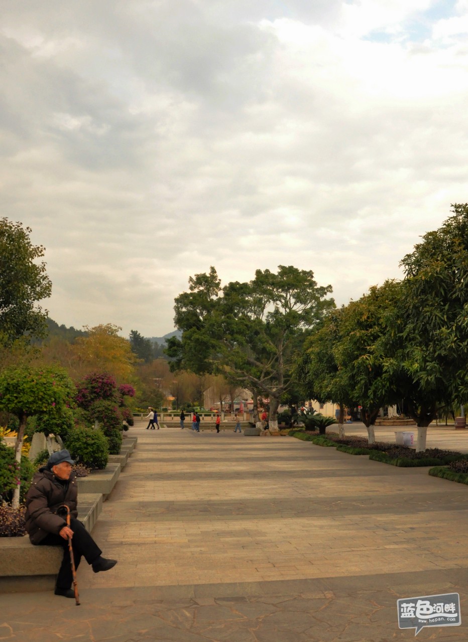DSC_45.jpg