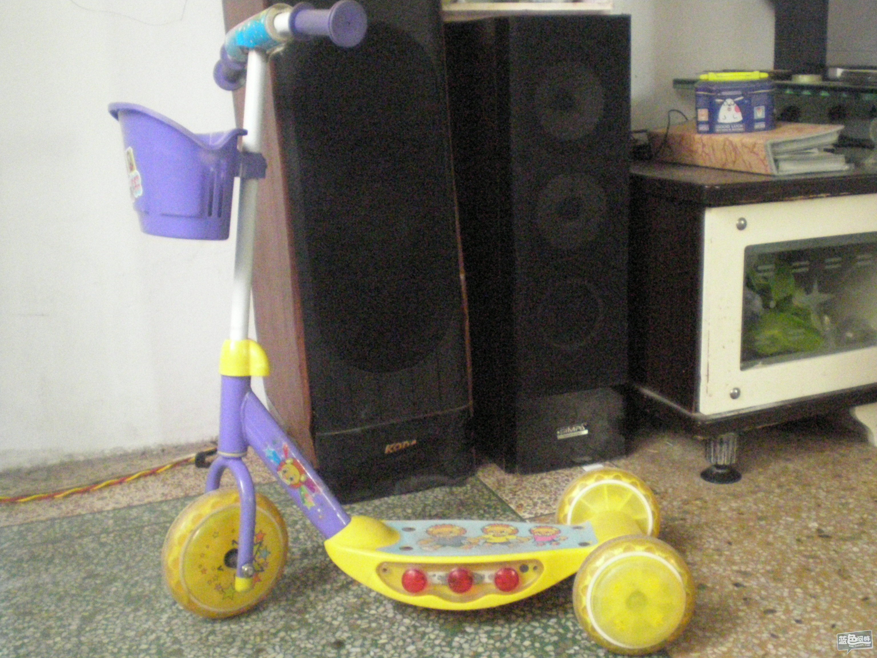 P1010068.JPG