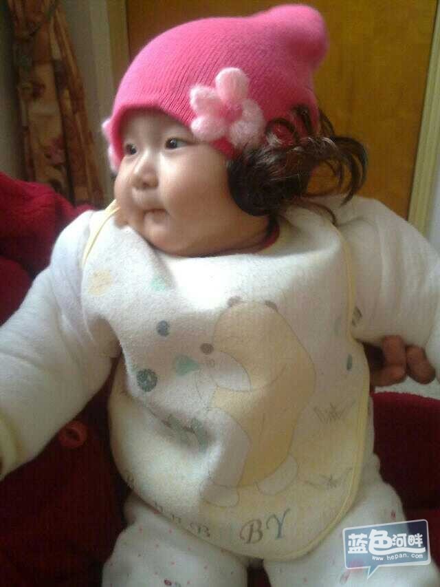 妞妞1.jpg