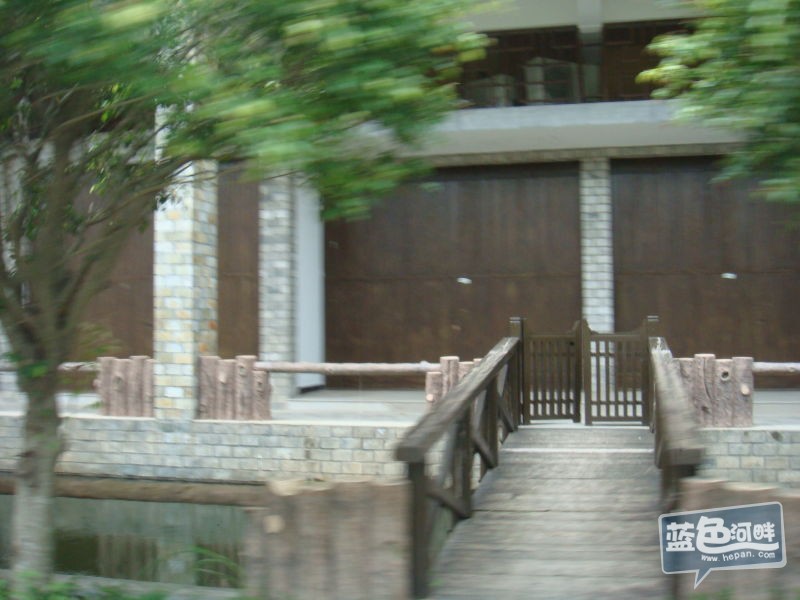 8050.jpg