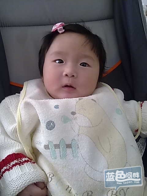 201302271197.jpg