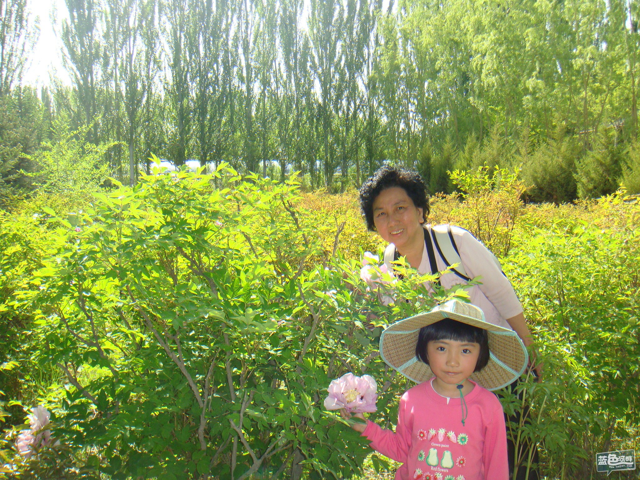 DSC01147.JPG