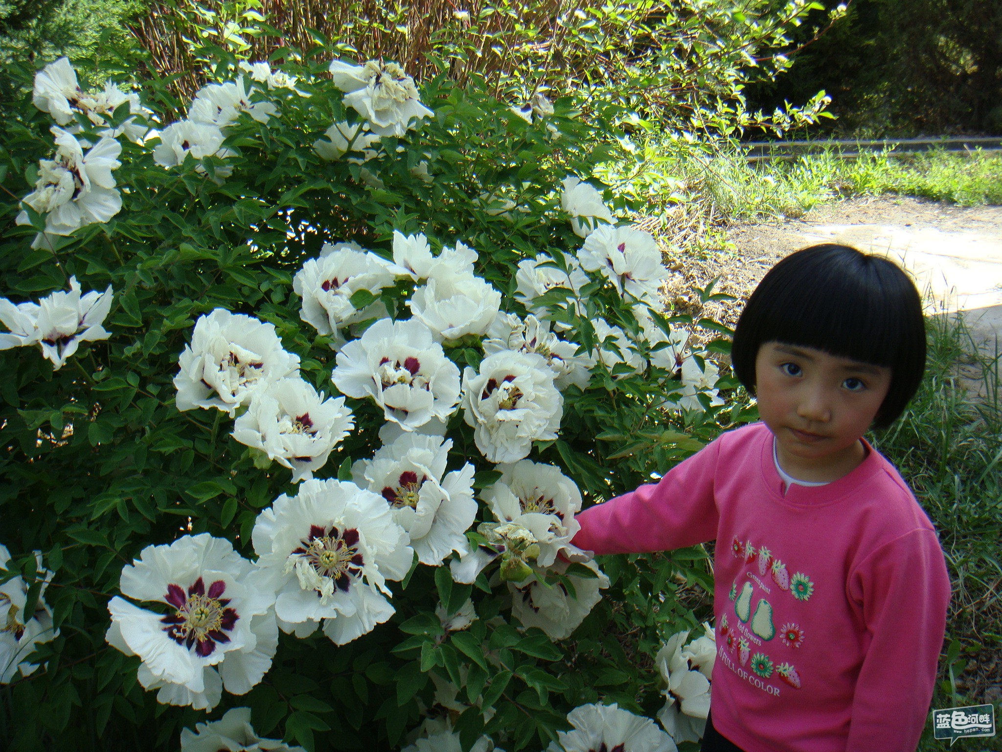 DSC01153.JPG