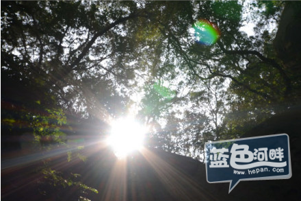 QQ截图20130424110343.png