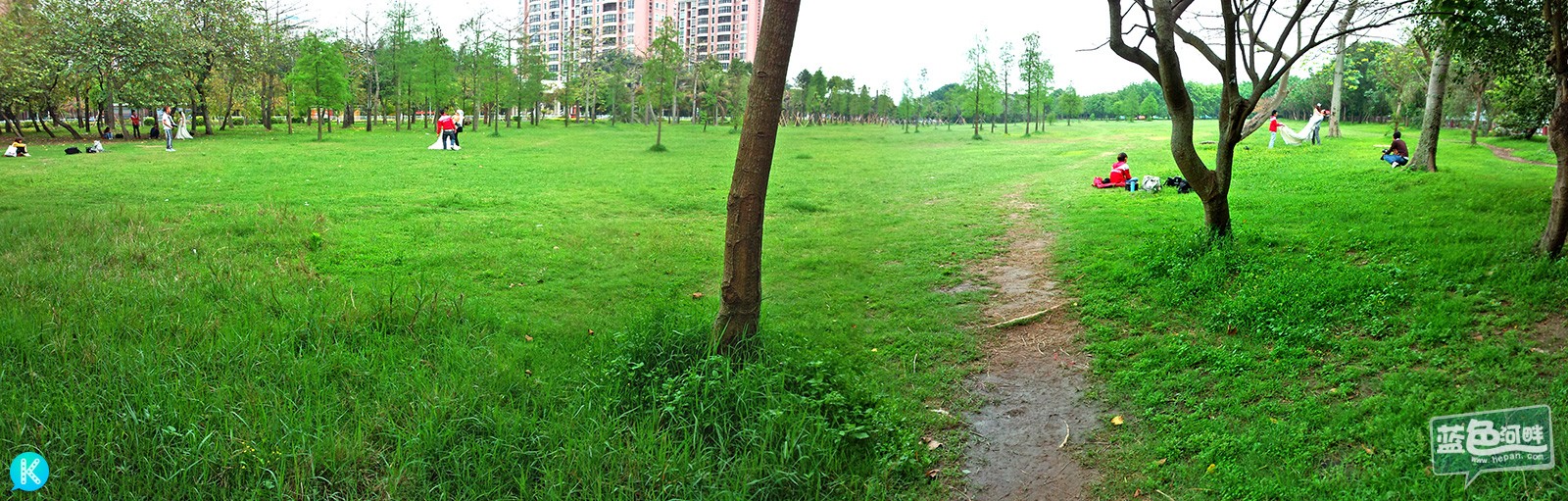 雨后的绿色更清新