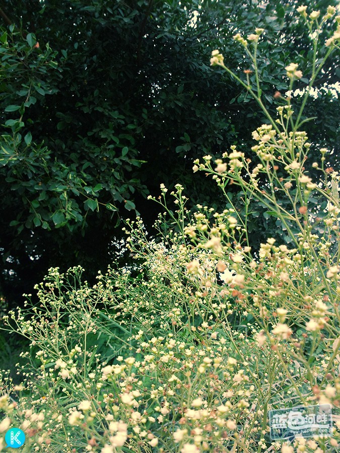 08.jpg