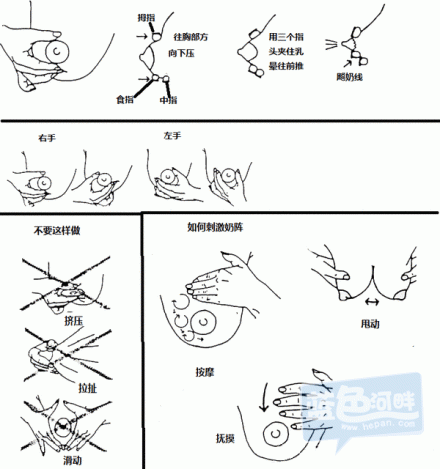S88755T1365660981199.gif