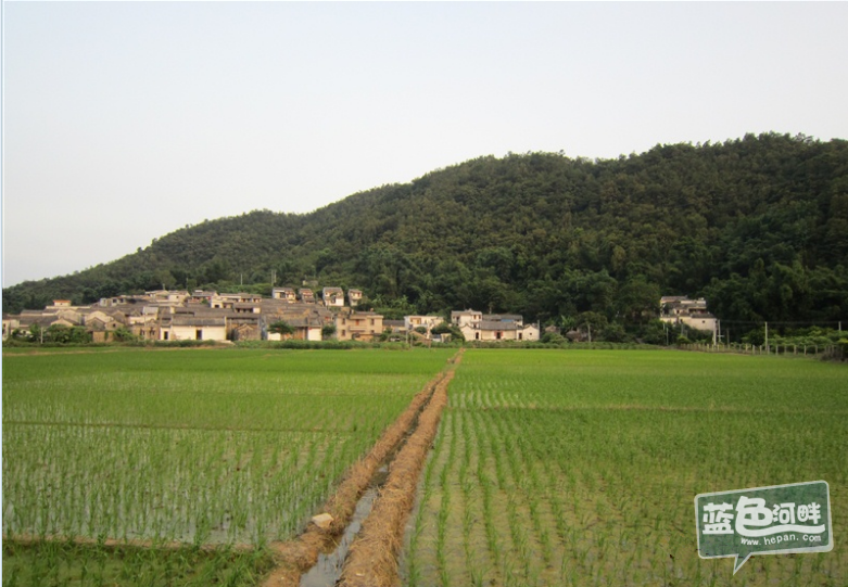 QQ截图20130428152224_副本.png