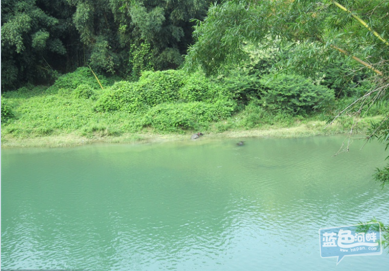 QQ截图20130428151853_副本.png