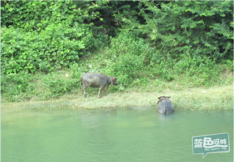 QQ截图20130428152055_副本.png