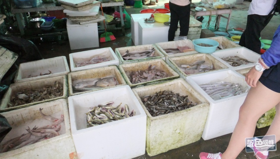 QQ截图20130520091123.jpg