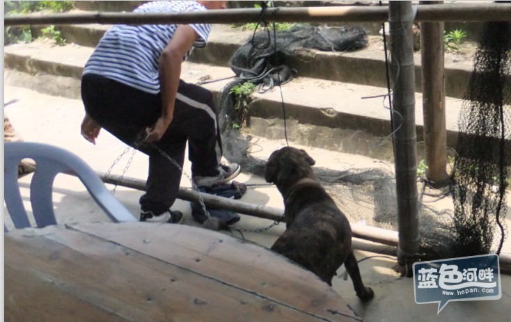 QQ截图20130520091207.jpg