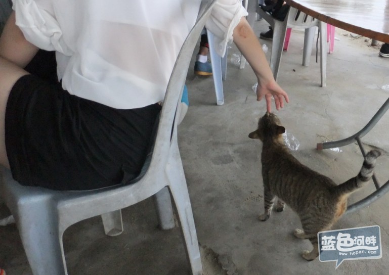 QQ截图20130520091334.jpg