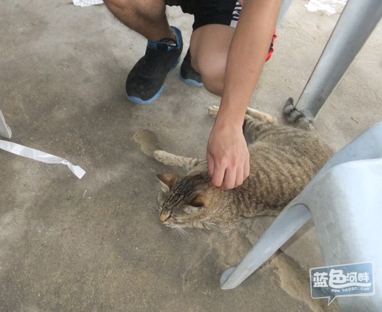 QQ截图20130520091412.jpg