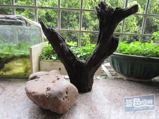 QQ截图20130525150554.jpg