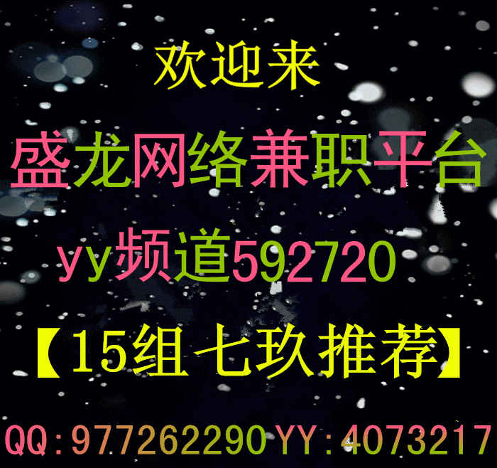 欢迎来盛龙网络.gif