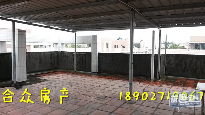 07021acce3d1f92e2ef93a227e14b759776a_副本.jpg