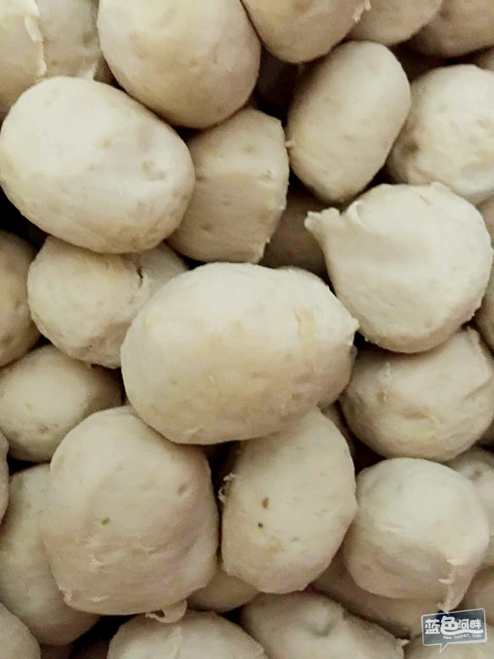 丸子近镜
