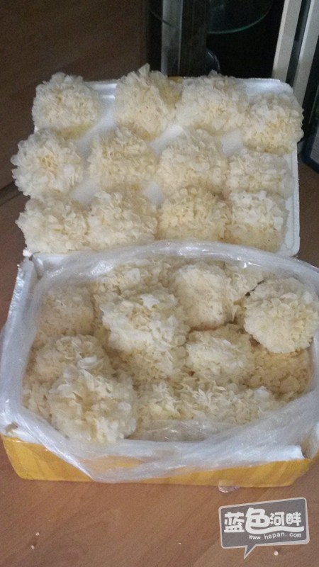 刚到货
