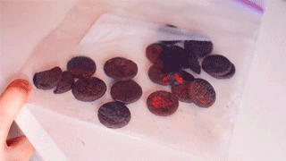 4.gif