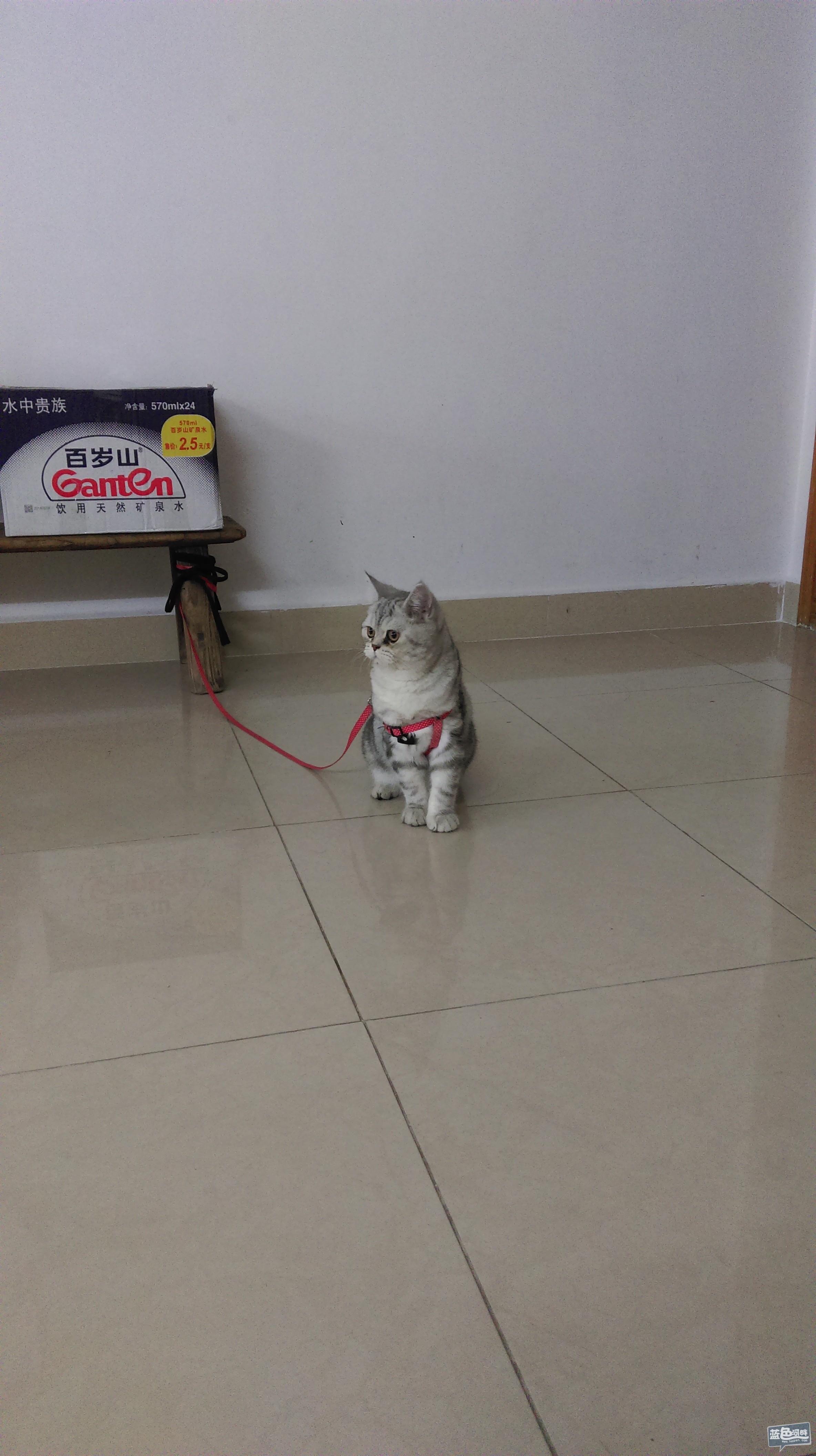 IMAG0304.jpg