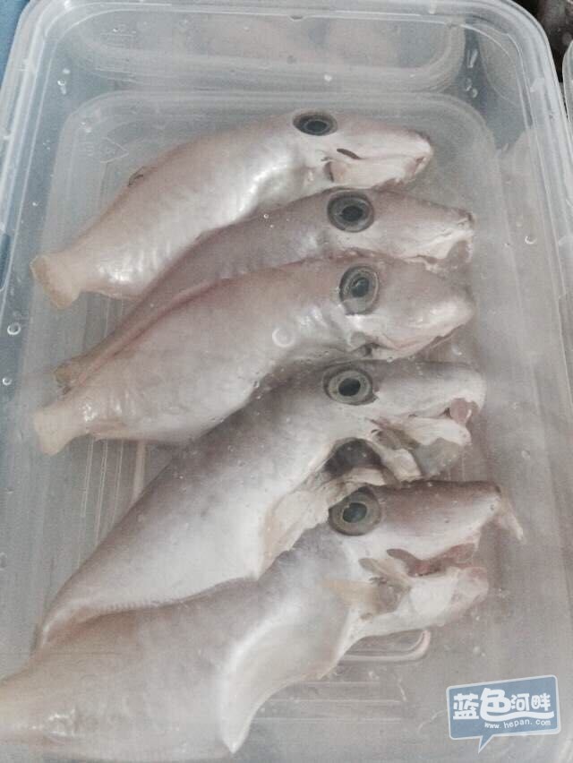 QQ图片20150208012533.jpg
