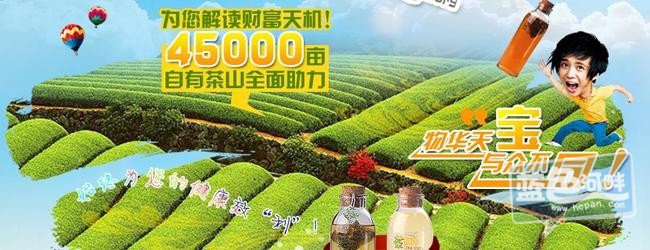 45000亩茶叶.jpg