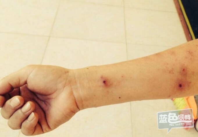 QQ图片20150402151819.jpg