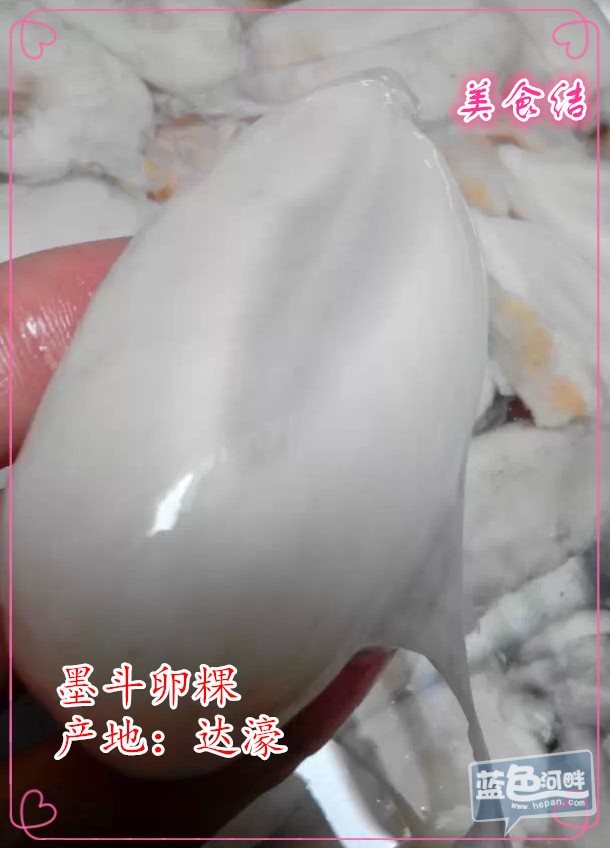 06.jpg