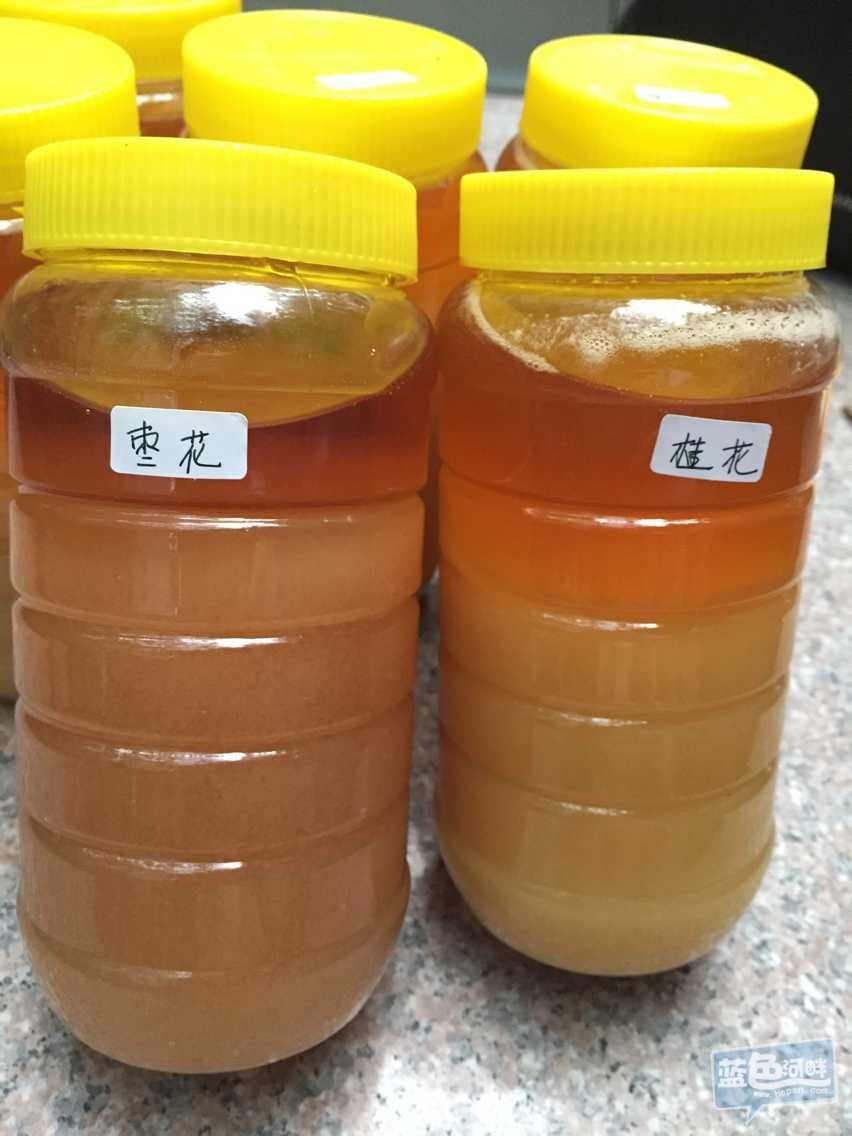QQ图片20150606092751.jpg