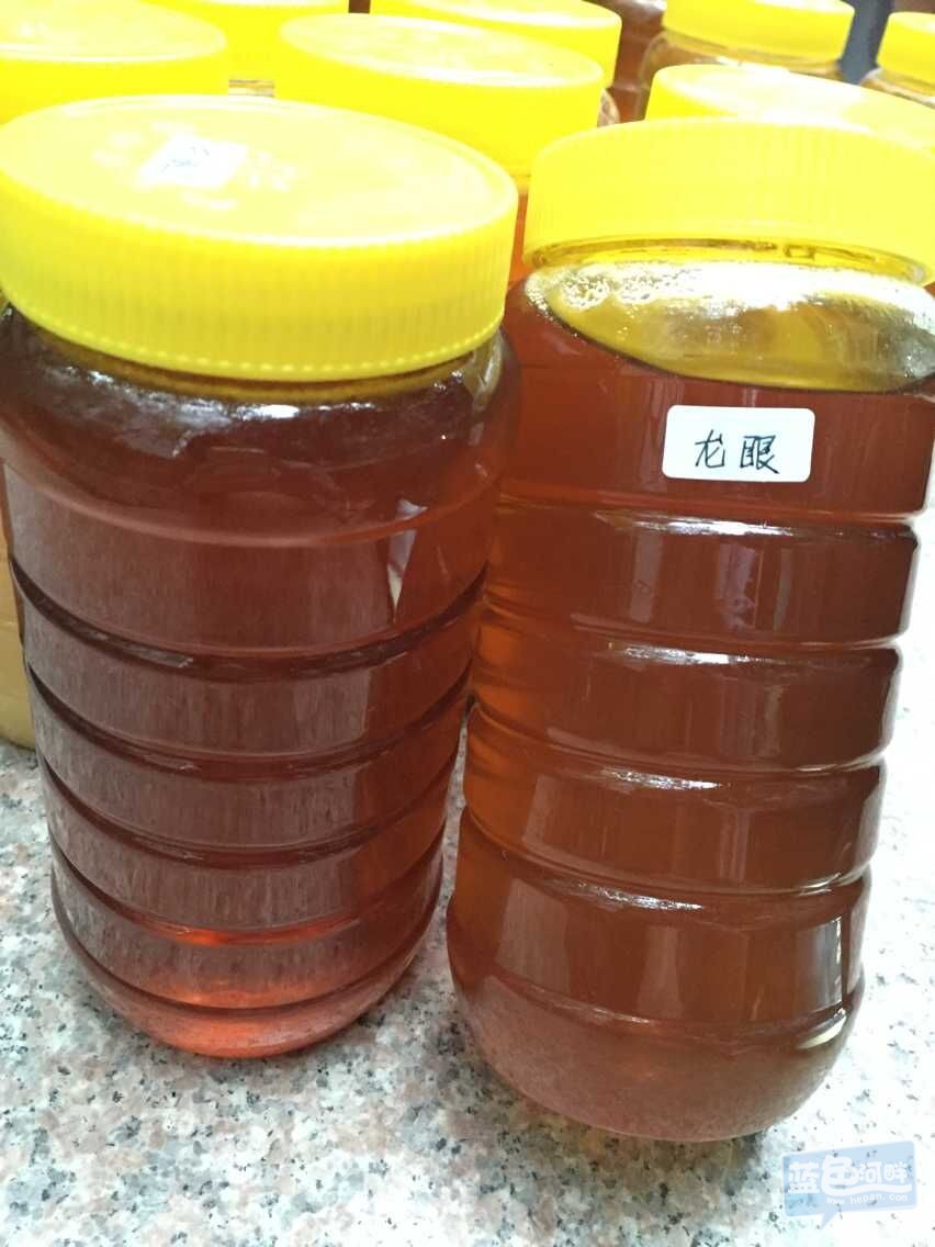 QQ图片20150606092759.jpg