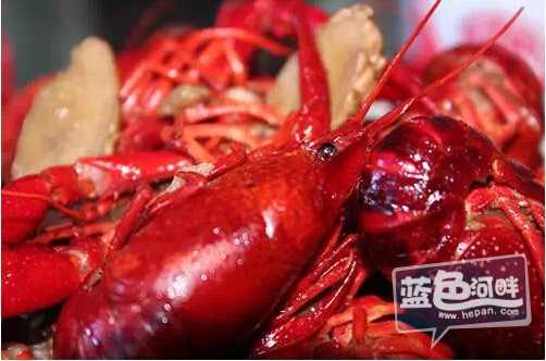 QQ截图20150716112640.jpg