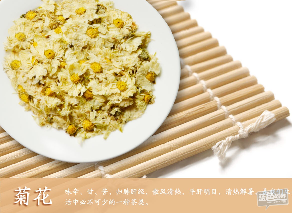 菊花.jpg