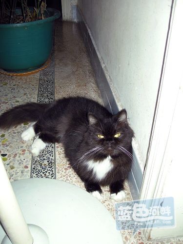 08.jpg