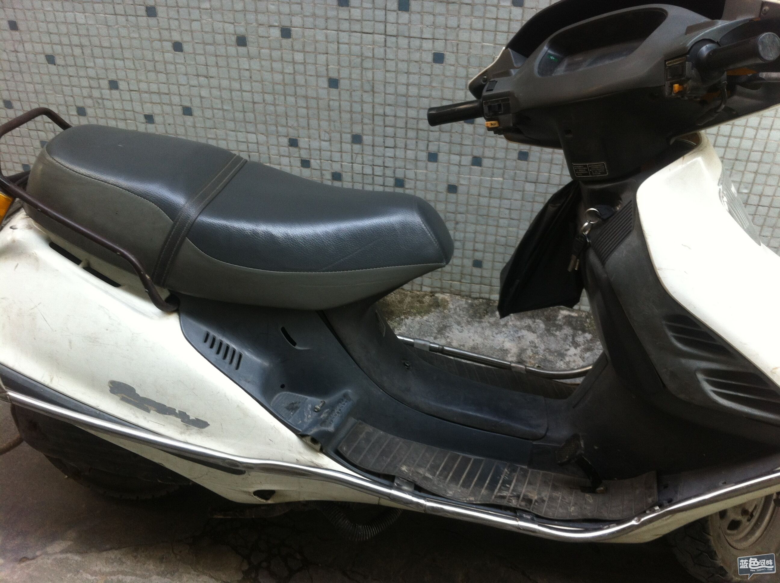 QQ图片20110101002625.jpg