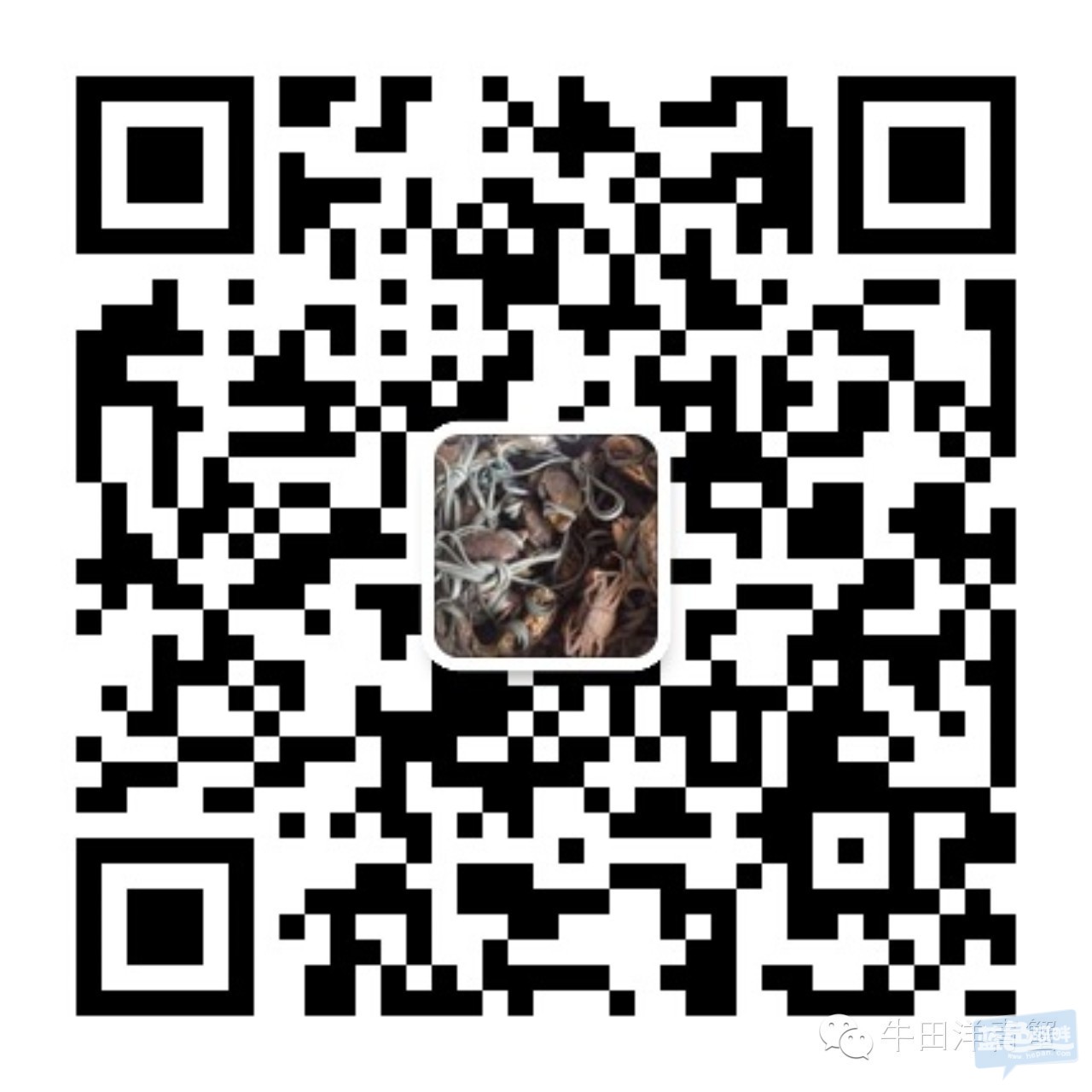 qrcode_for_gh_563f8c4ff321_1280.jpg